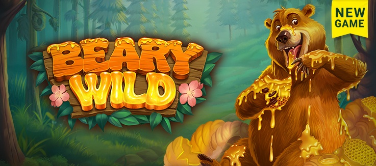 New Game: Beary Wild
