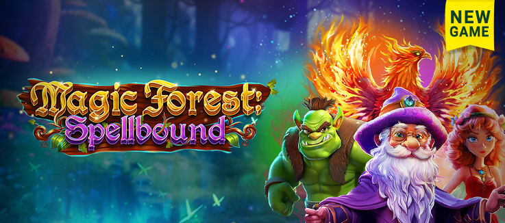 New Game: Magic Forest